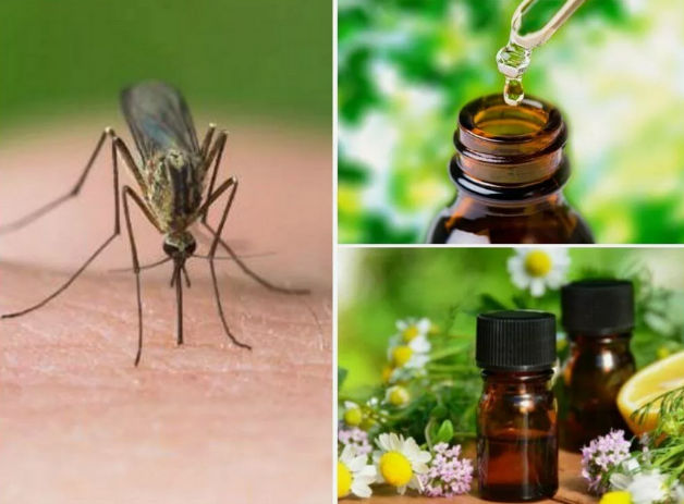 [Илья Чумаков] Клещи, комары и т.п. - как защитить_0.png